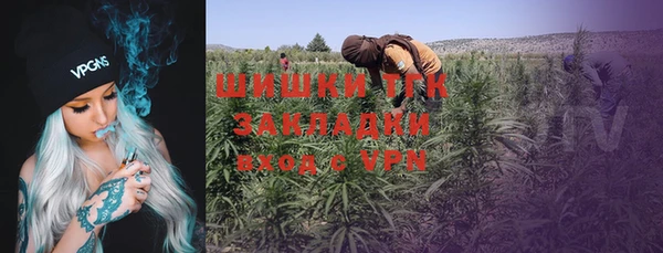 спайс Горняк